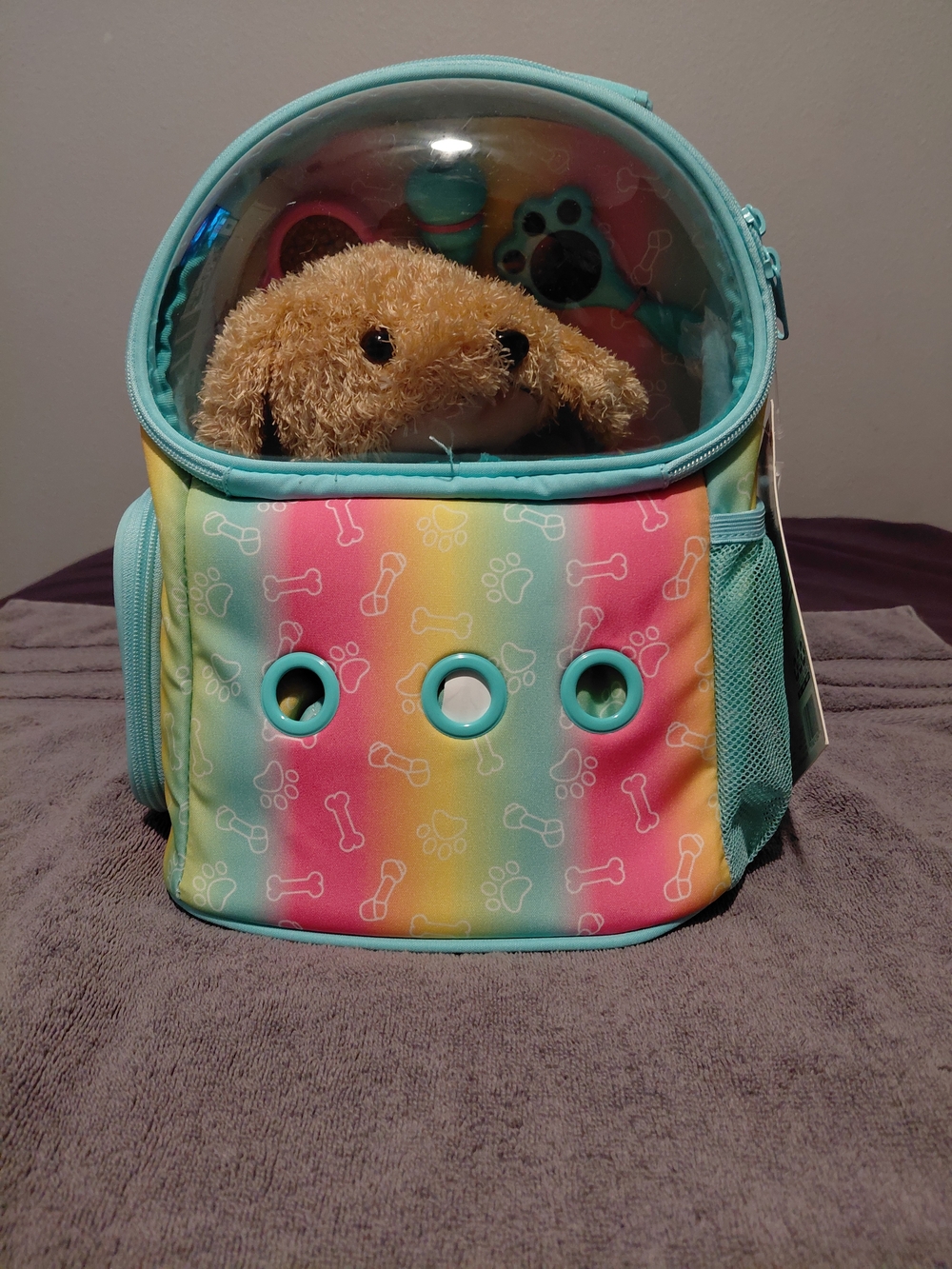 Rainbow Small Pet Carrier Backpack with Mint Trim